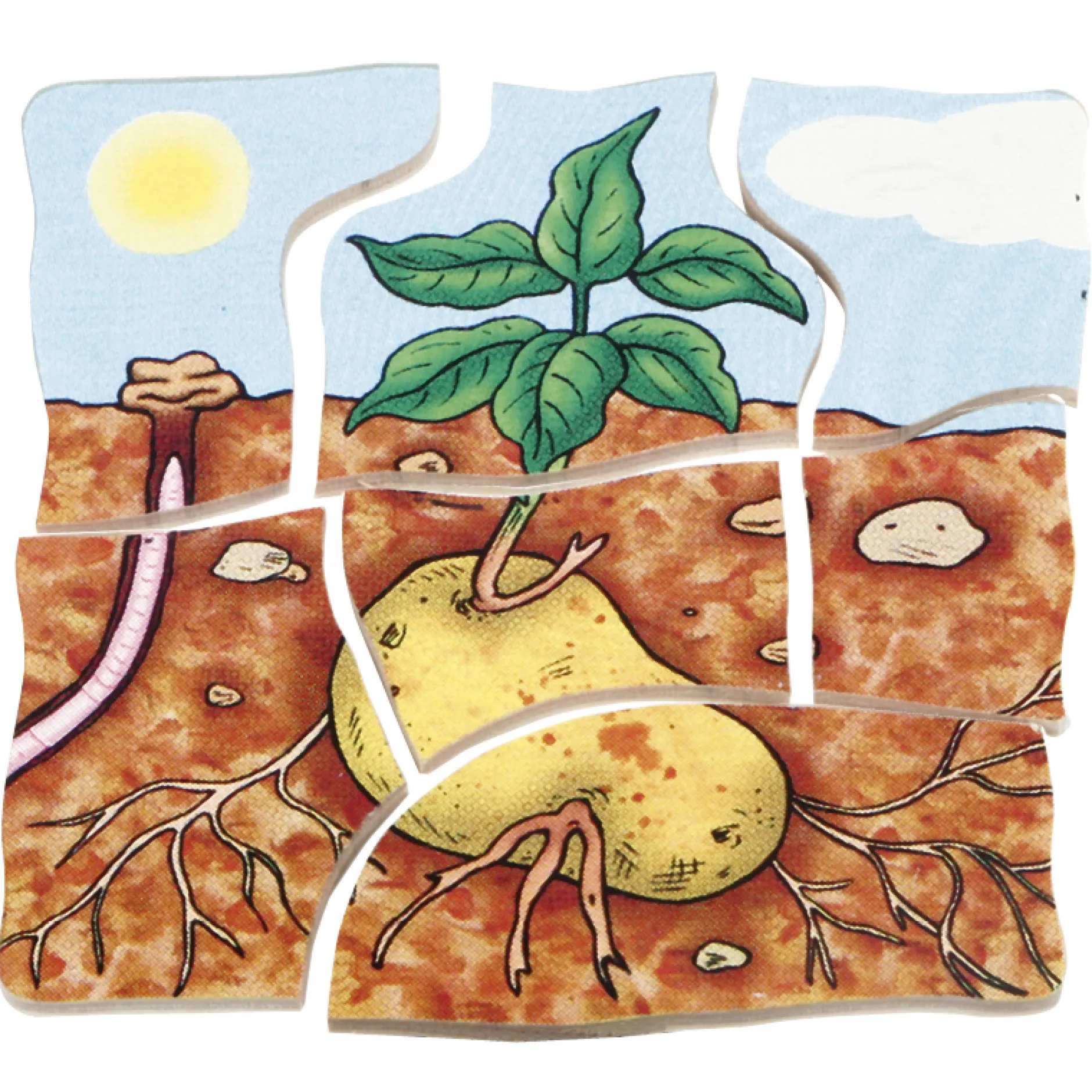 beleduc Schichten-Puzzle "Kartoffel", 30-tlg.