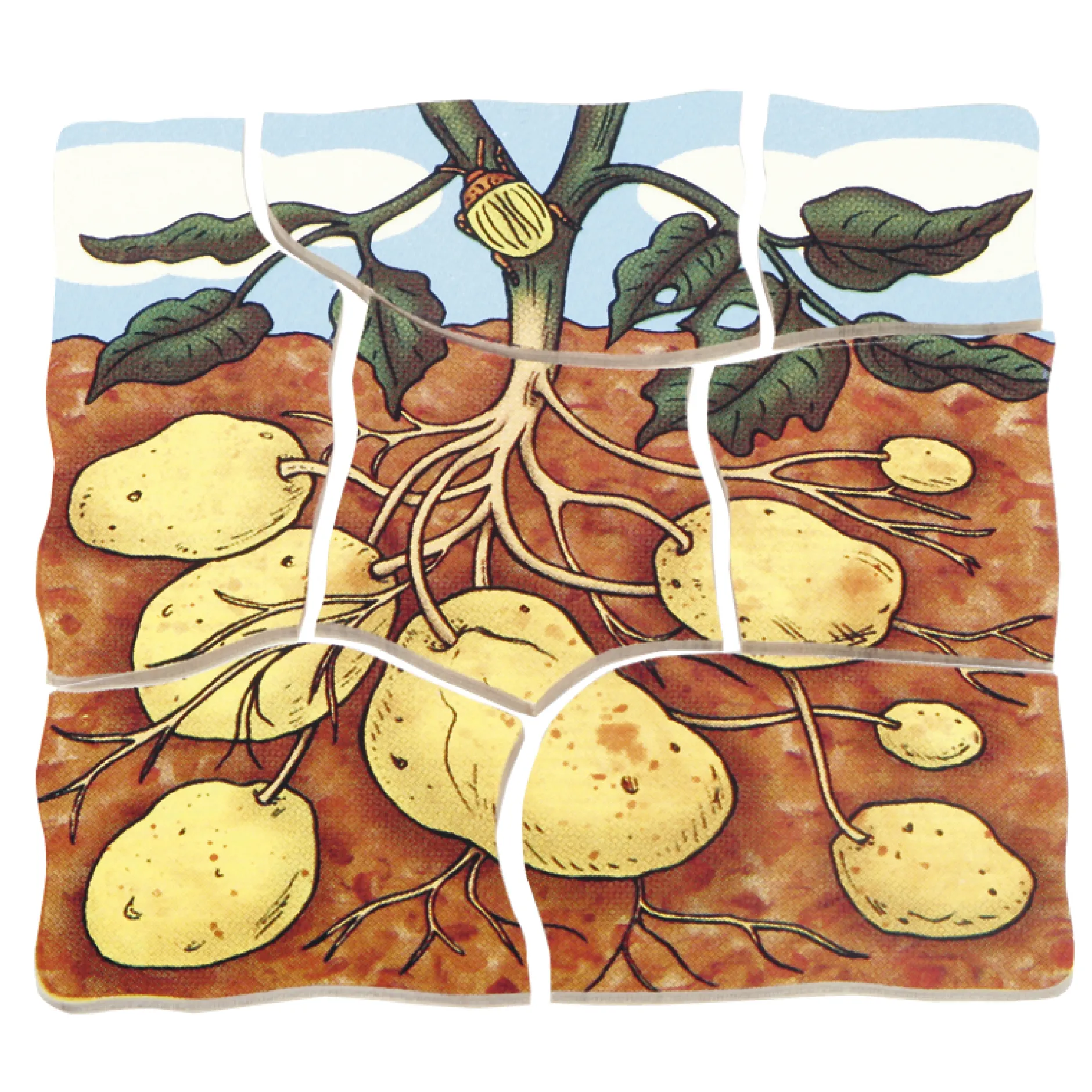 beleduc Schichten-Puzzle "Kartoffel", 30-tlg.