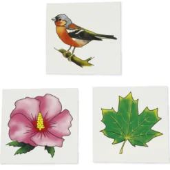 Bilderbox "Vocabular Tiere, Pflanzen, Natur"