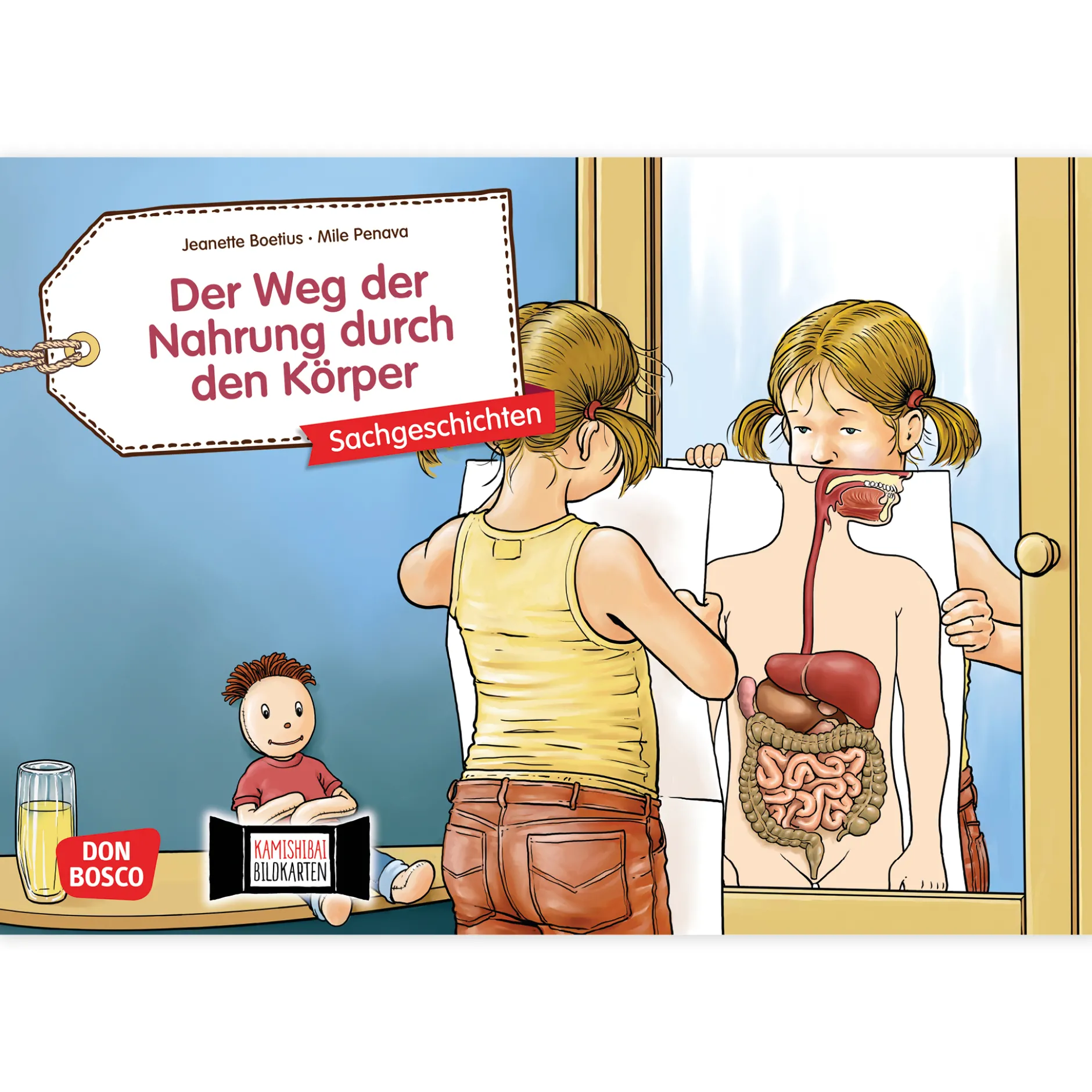 Bildergeschichten-Karten "Der Weg der Nahrung durch den Körper", 12-tlg.