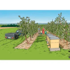 Bildergeschichten-Karten "Von fleißigen Bienen und leckerem Honig", 12-tlg.