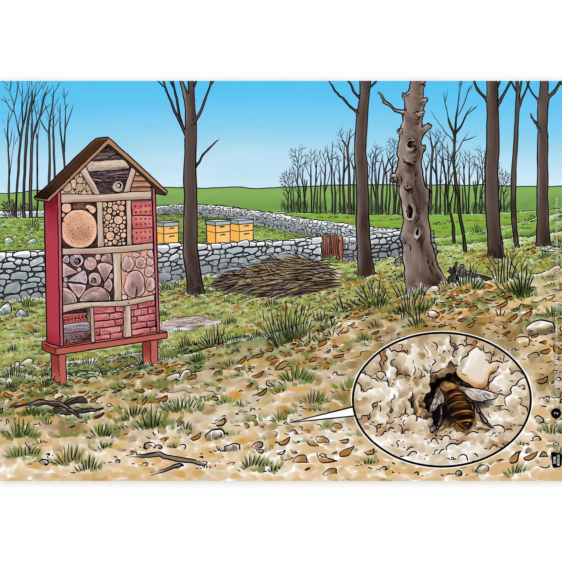 Bildergeschichten-Karten "Von fleißigen Bienen und leckerem Honig", 12-tlg.