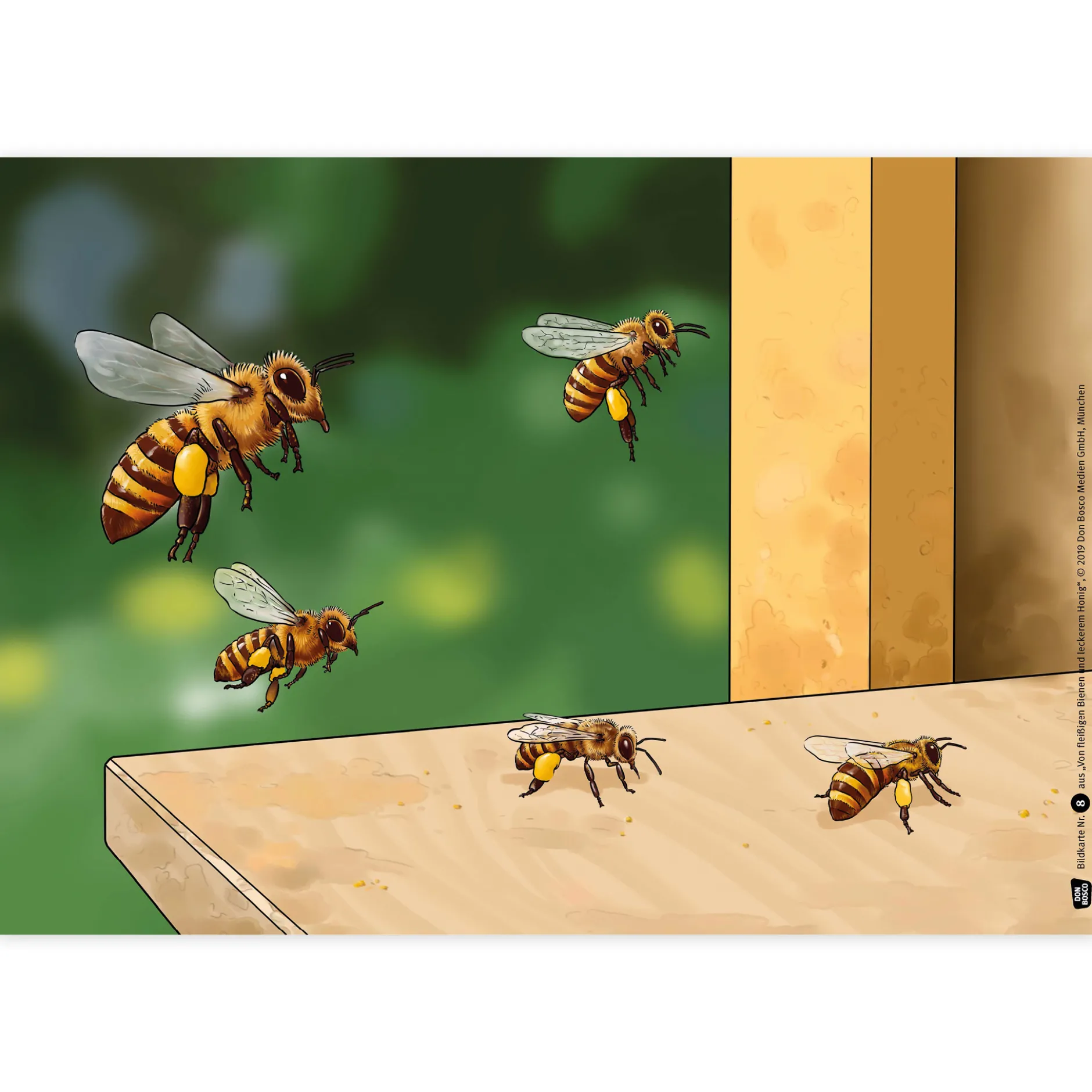 Bildergeschichten-Karten "Von fleißigen Bienen und leckerem Honig", 12-tlg.