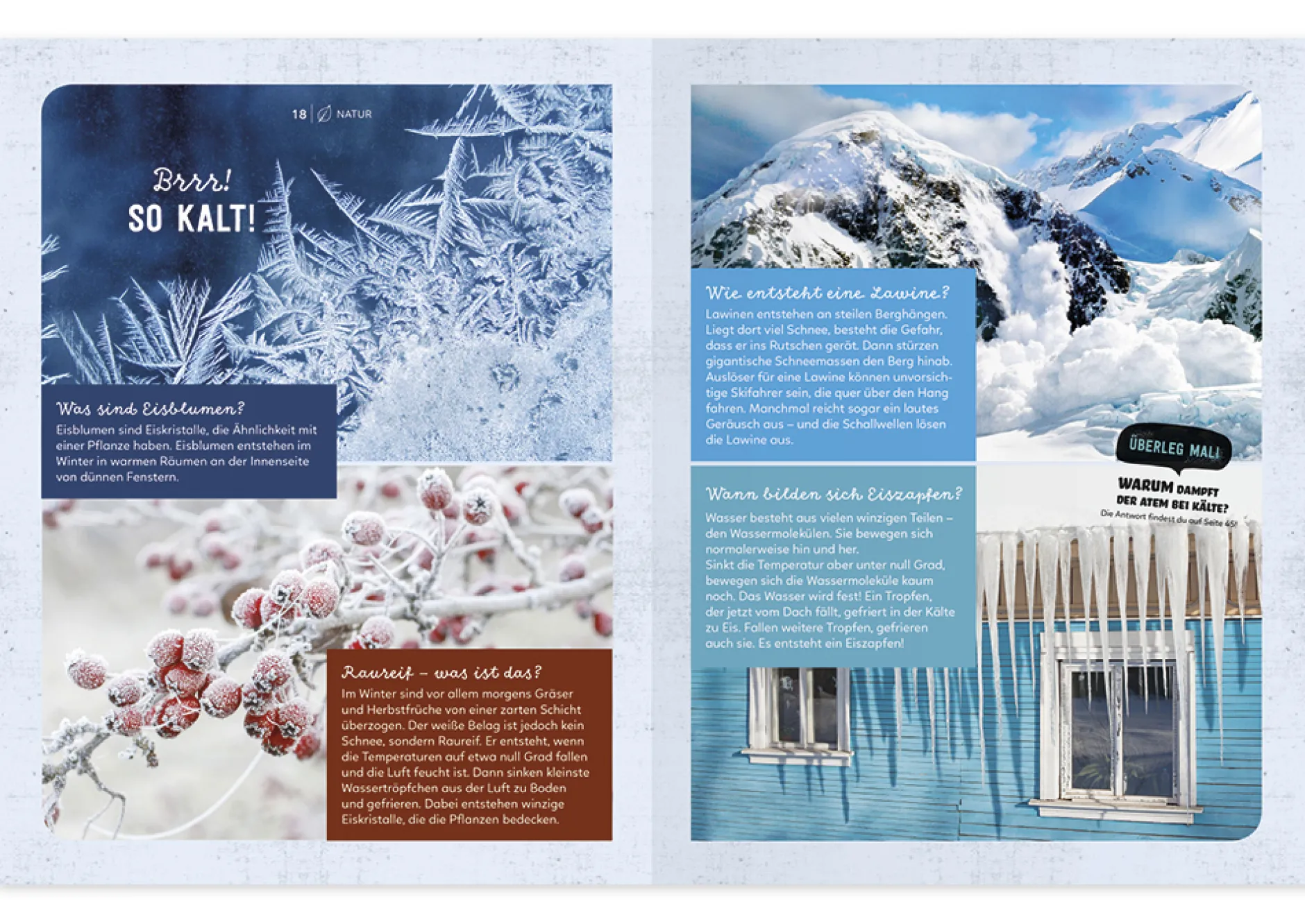 Buch "Mein Sach- und Mach-Winter-Buch", 48 Seiten