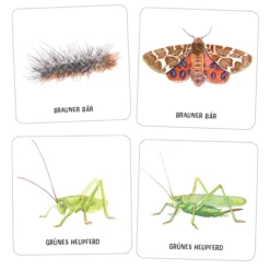 Das große Insekten Memo, 61-tlg.