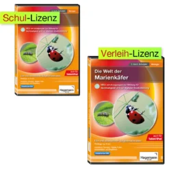 Didaktische DVD Die Welt der Marienkäfer