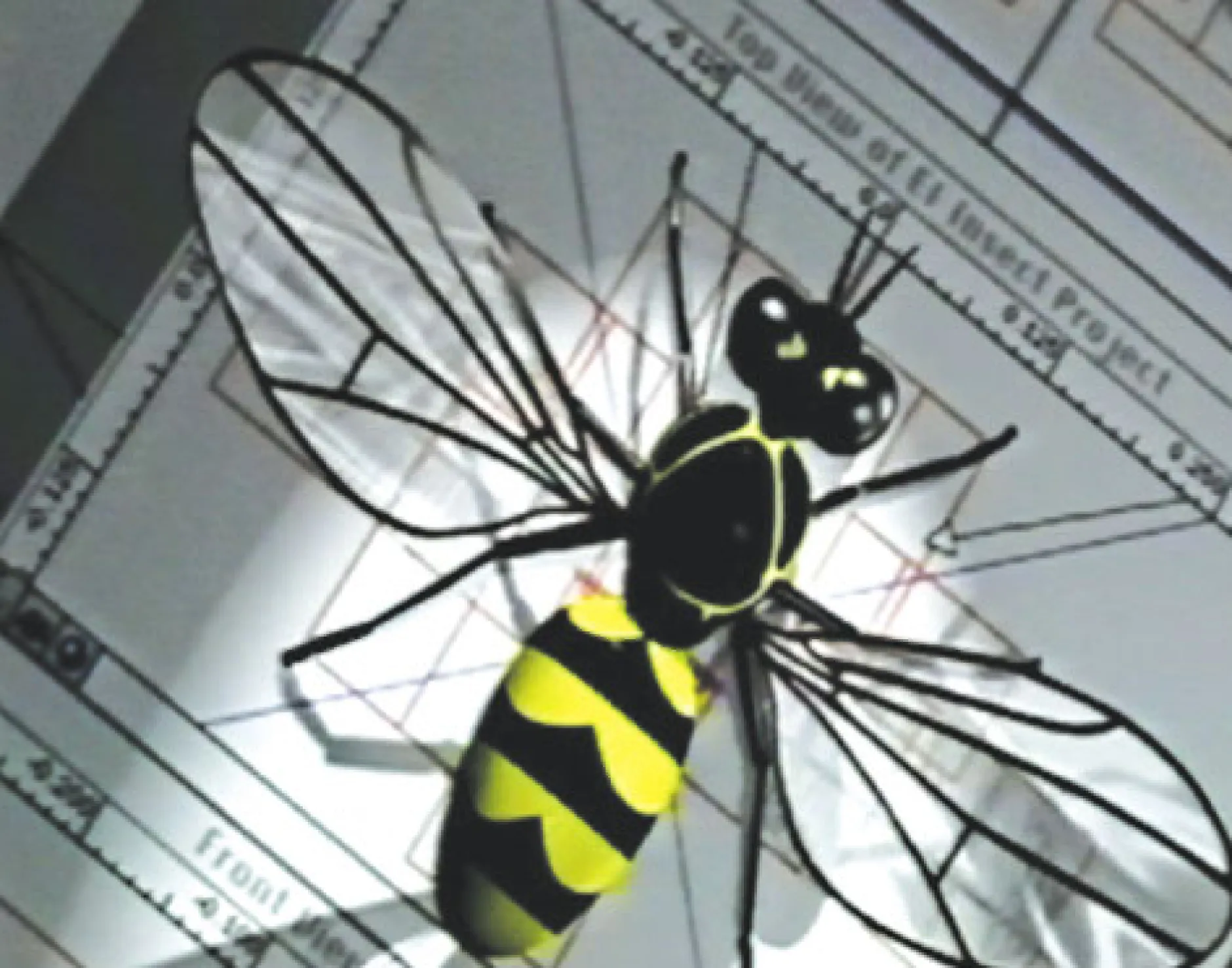 DVD-Lehrfilm Die faszinierende Welt der Insekten