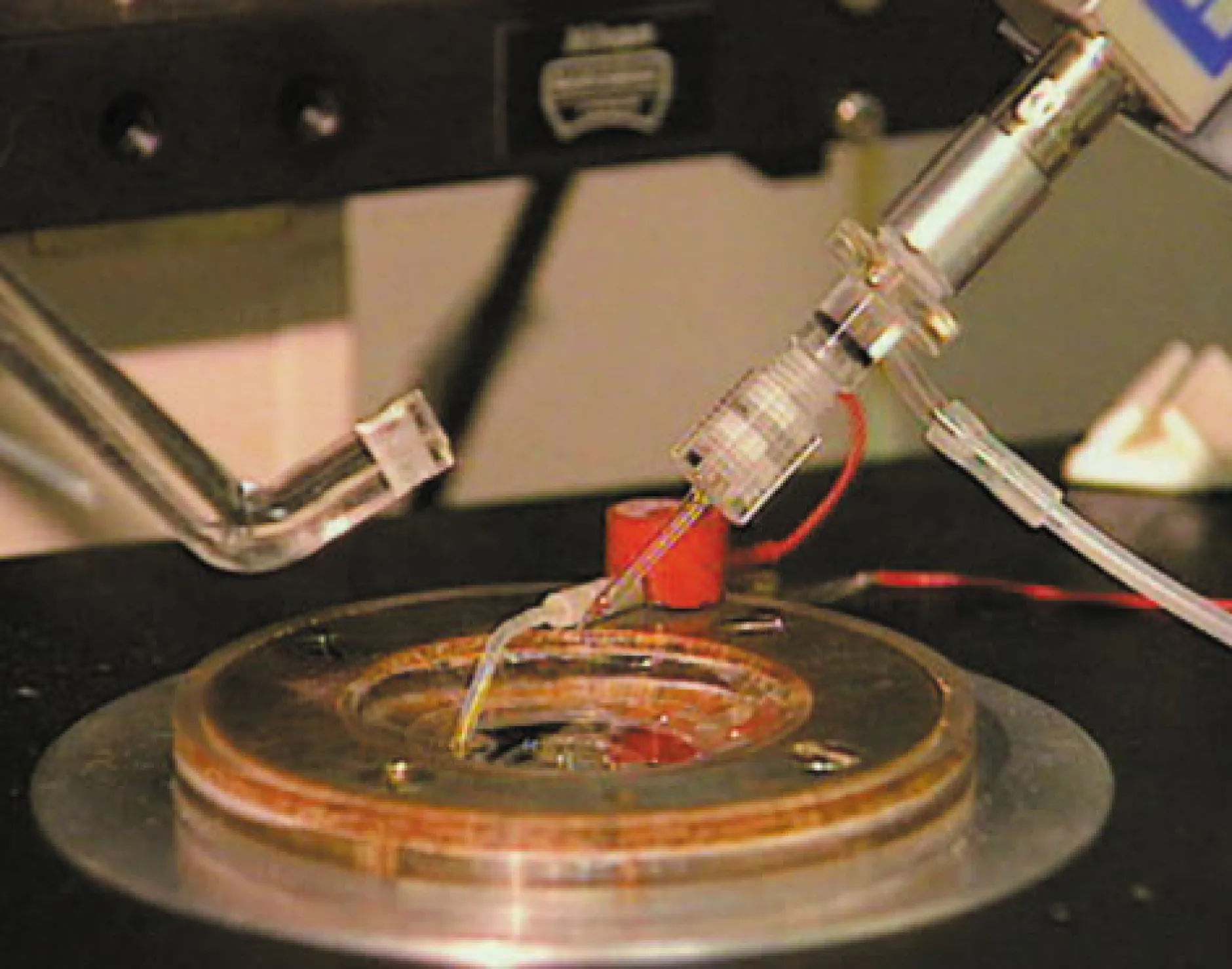 DVD-Lehrfilm Membranpotenziale