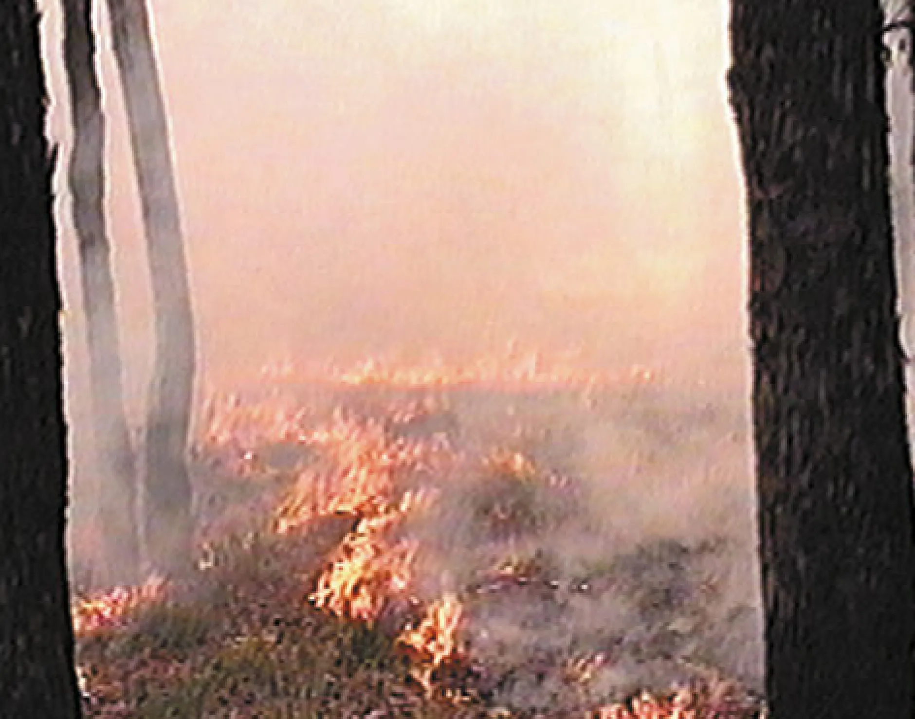 DVD-Lehrfilm Unsere Atmosphäre in Gefahr