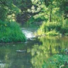 DVD-Lehrfilm Wasserkreislauf in der Natur