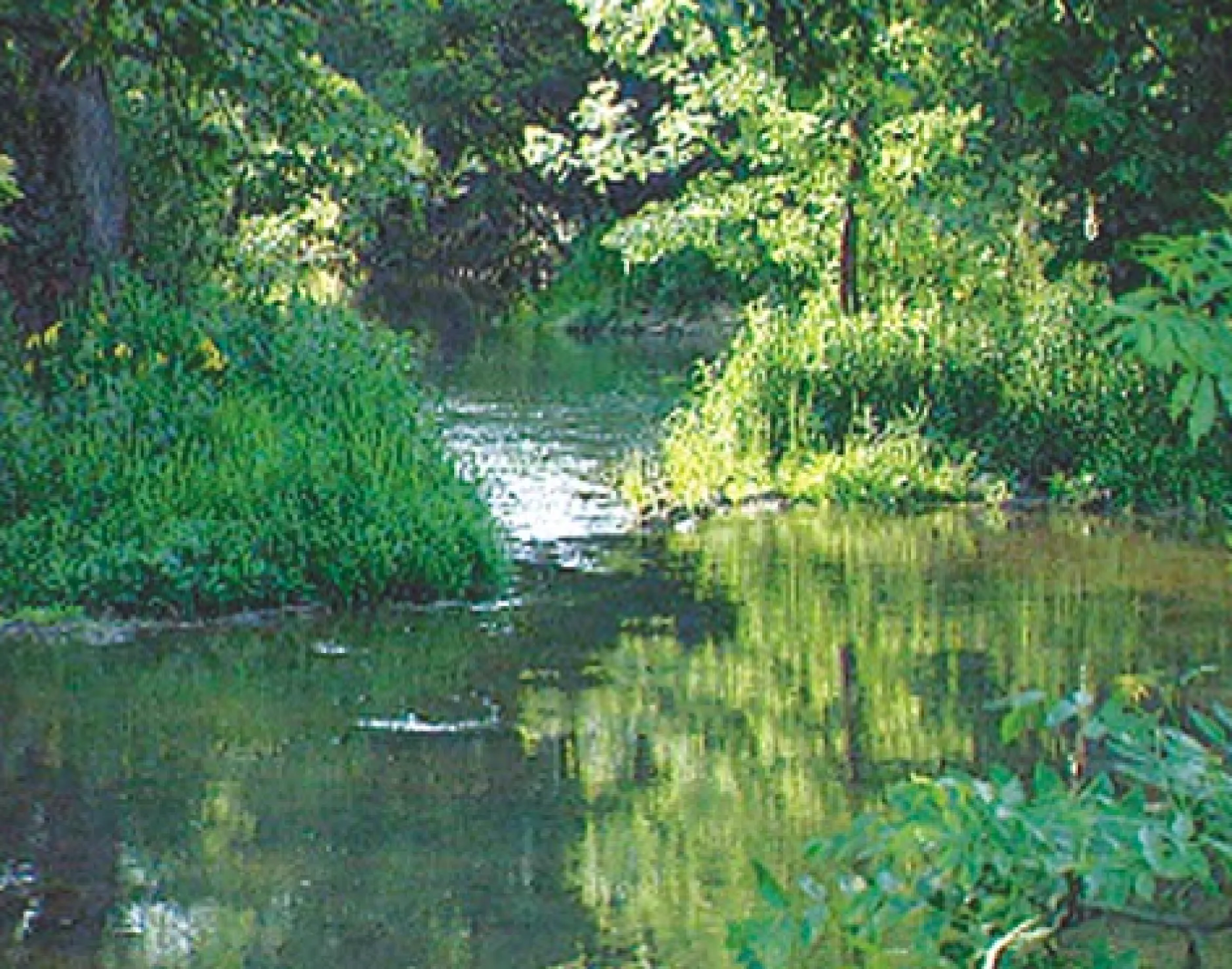 DVD-Lehrfilm Wasserkreislauf in der Natur