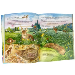 Eine Geschichte mit vielen Sachinformationen – Der kleine Marienkäfer und die Tiere auf der Wiese