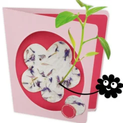 Experimentierset: Blühendes selbstgeschöpftes Papier aus Altpapier
