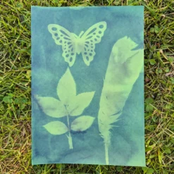 Farbiges Foto-Solarpapier DIN A 5 mit Fixierscheibe (pink, grün, gelb, rot), 16 Blatt