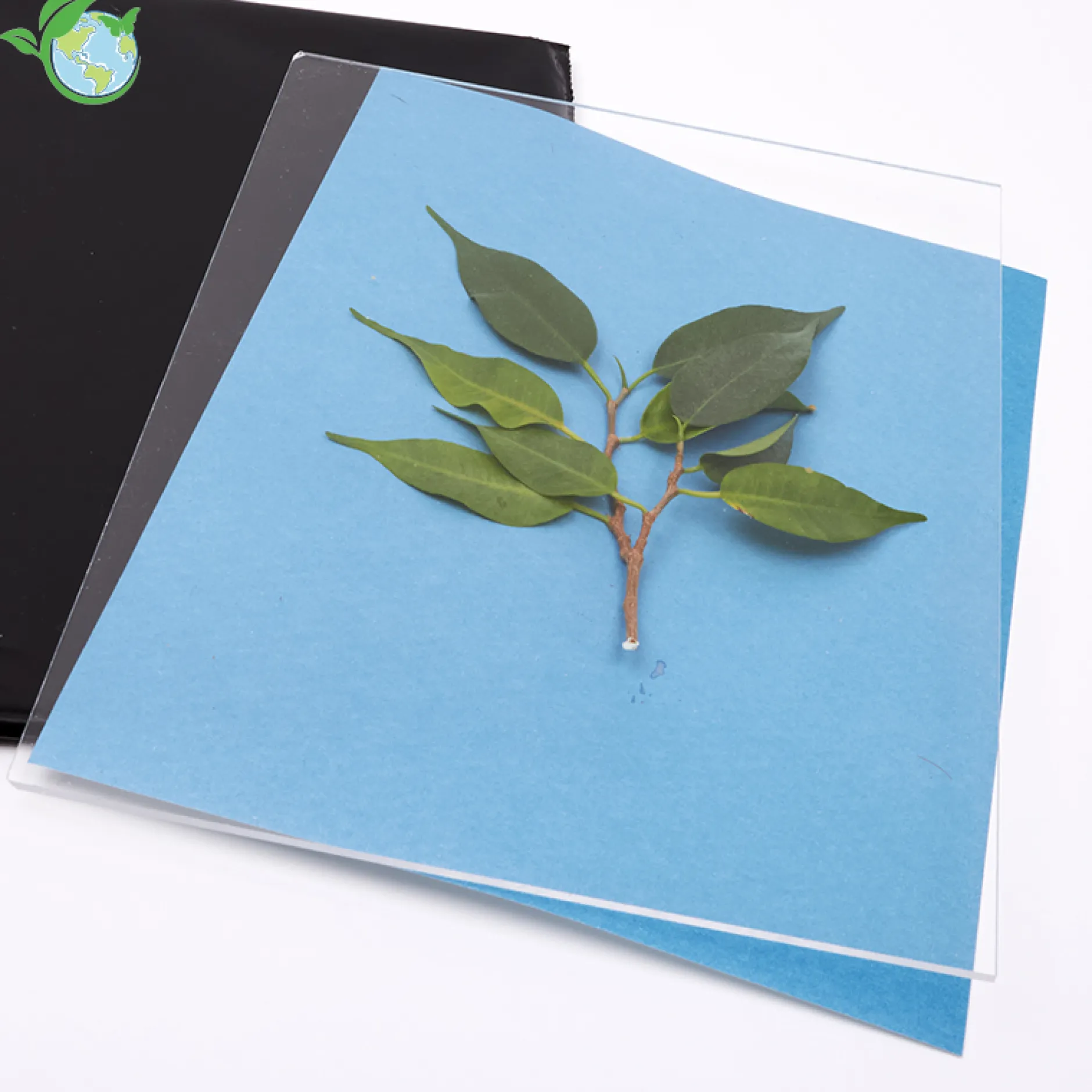 Foto-Solarpapier mit Fixierscheibe (40 Blatt 17,8 x 12,7 cm)