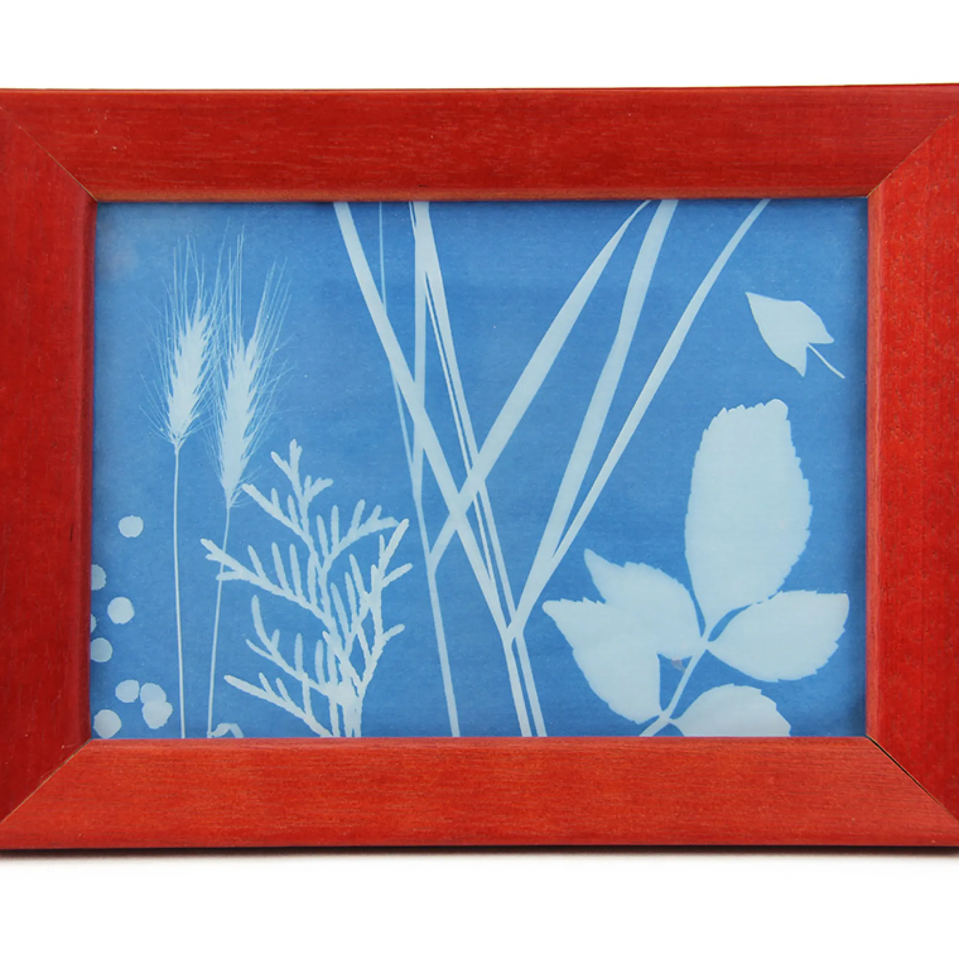 Foto-Solarpapier mit Fixierscheibe (40 Blatt 17,8 x 12,7 cm)