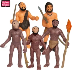 Hagemann Entwicklung des Menschen (Evolution, Modelle), 5-tlg.
