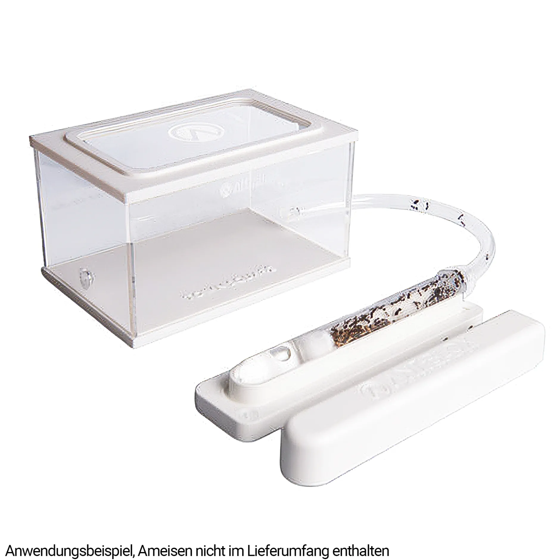 Hagemann Formicarium für Ameisenstaat