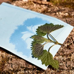 Hagemann Foto-Solarpapier mit Fixierfolie, A5, 10 Blatt