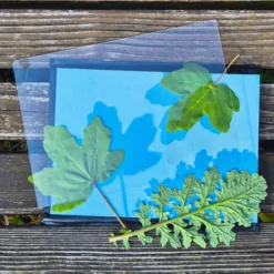 Hagemann Foto-Solarpapier mit Fixierfolie, A5, 10 Blatt