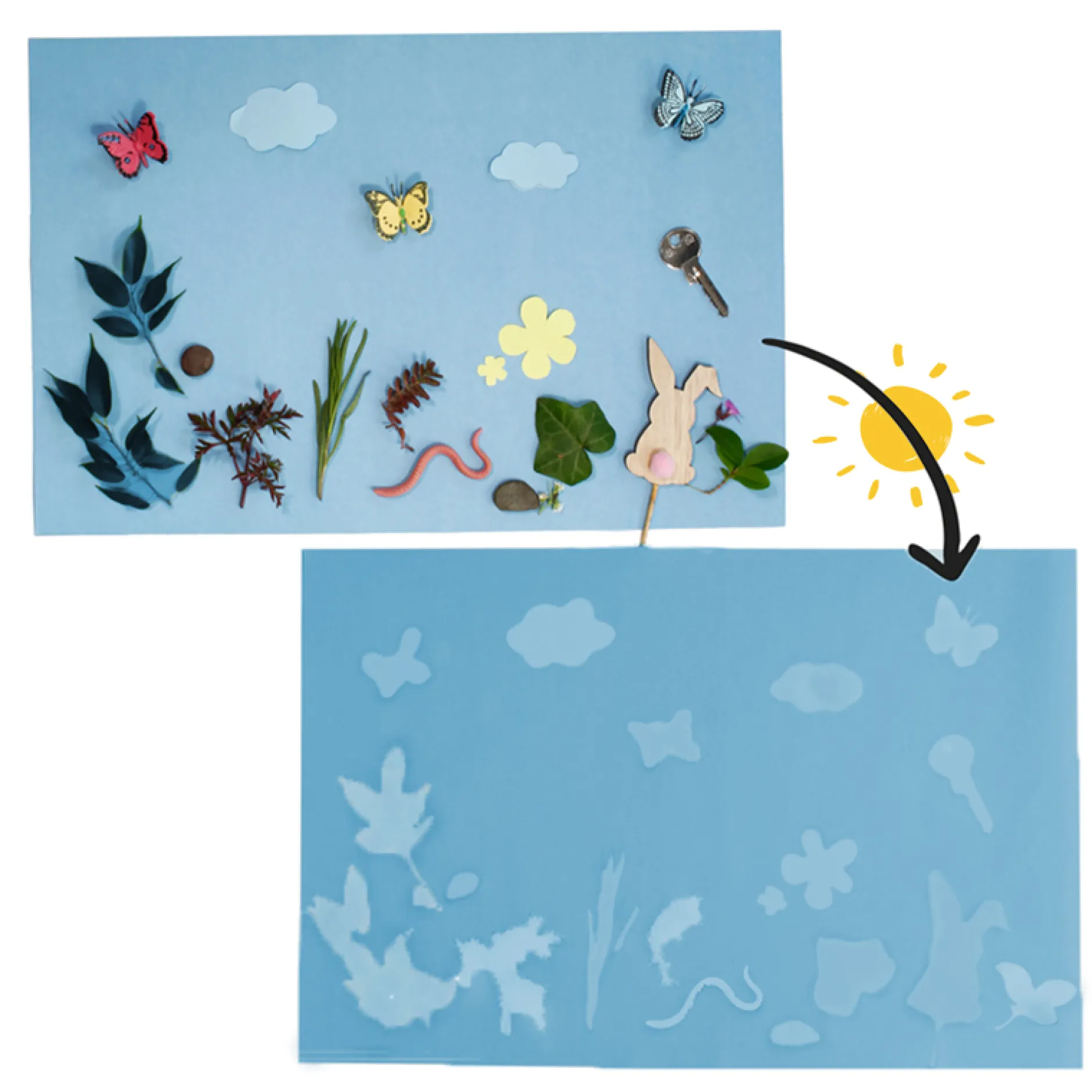 Hagemann Foto-Solarpapier mit Fixierfolie, A3, 20 Blatt