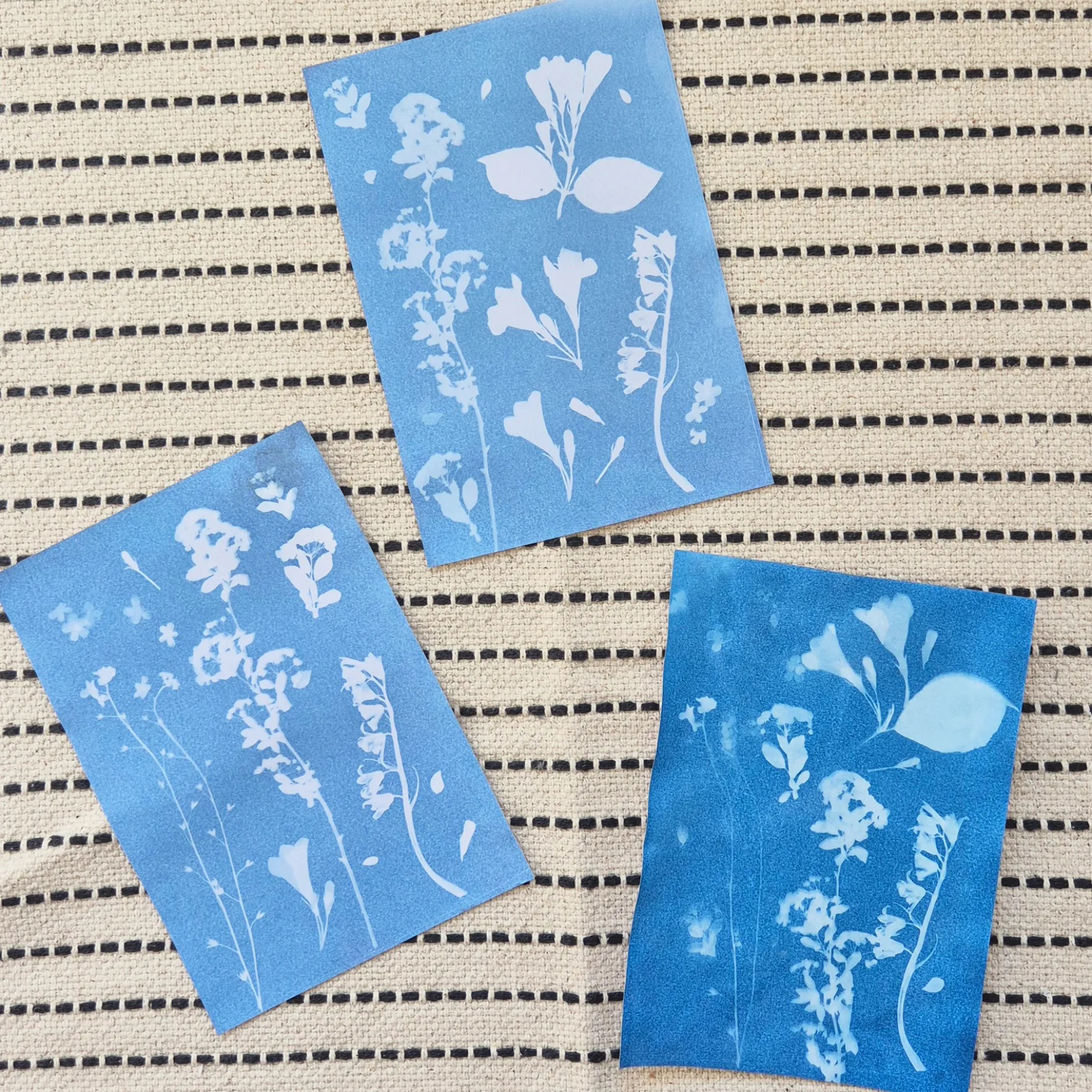 Hagemann Foto-Solarpapier mit Fixierscheibe, A5, 20 Blatt