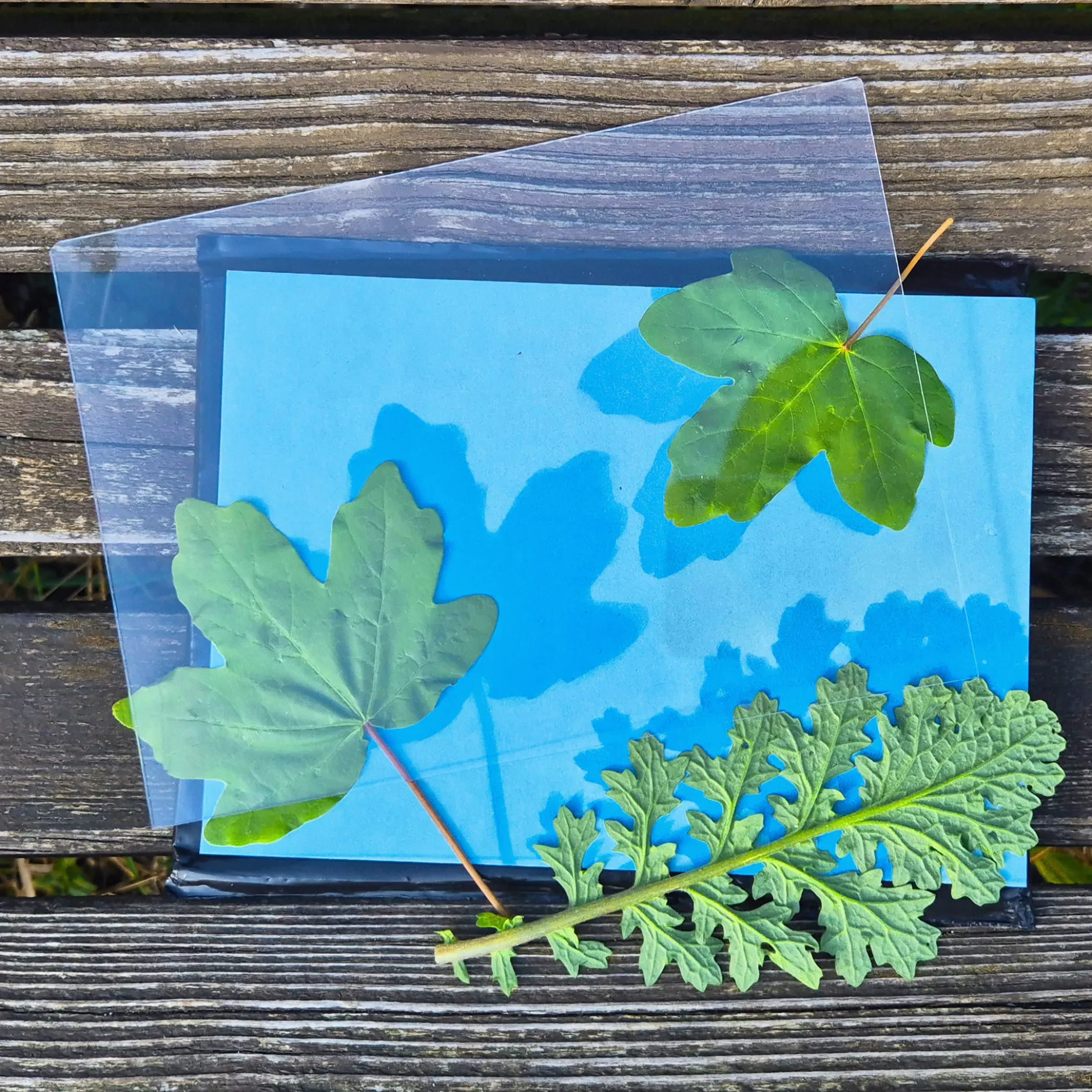 Hagemann Foto-Solarpapier mit Fixierscheibe, A5, 20 Blatt