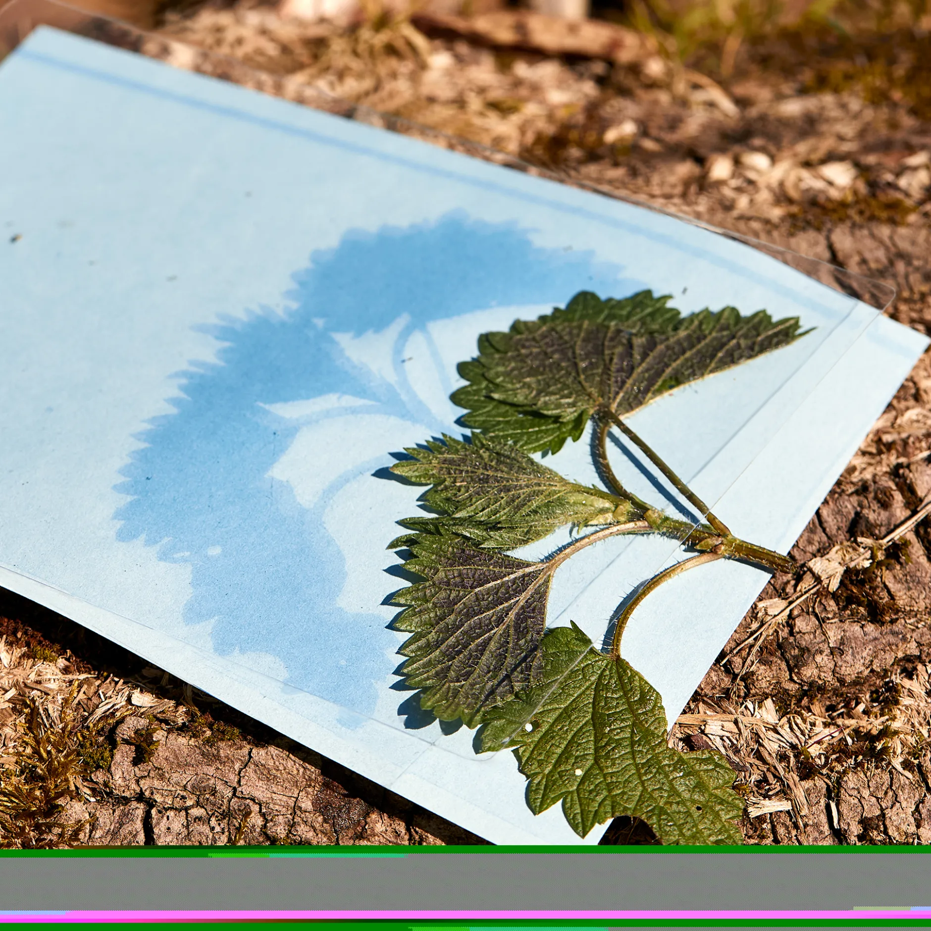 Hagemann Foto-Solarpapier mit Fixierscheibe, A5, 20 Blatt