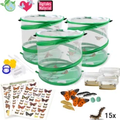 Hagemann Gruppenprojektset Schmetterlinge (15 Raupen)
