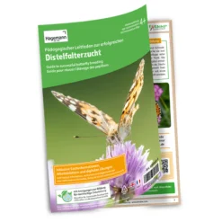 Hagemann Gruppenprojektset Schmetterlinge, Starter (15-21 Raupen)