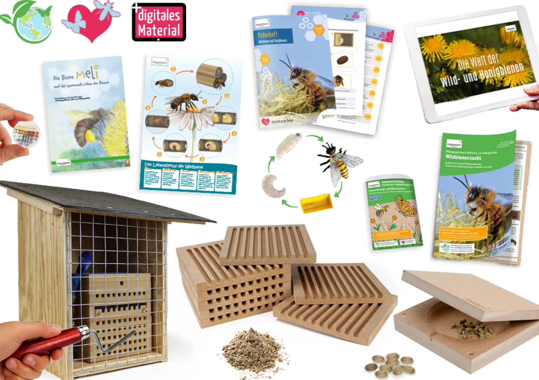 Hagemann Gruppenprojektset Wildbienen, Rote Mauerbiene
