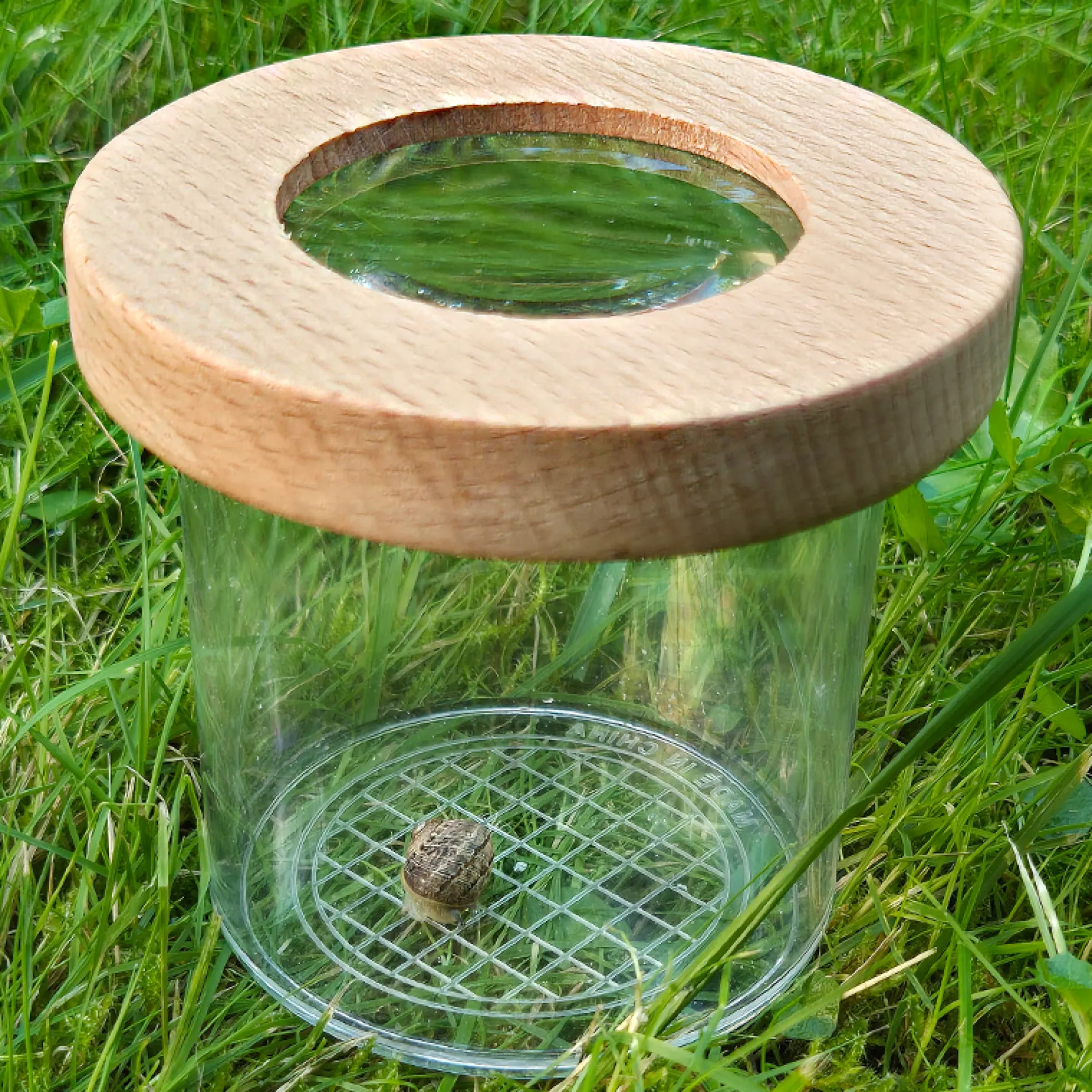 Hagemann Holz-Lupendose Natur & Digital
