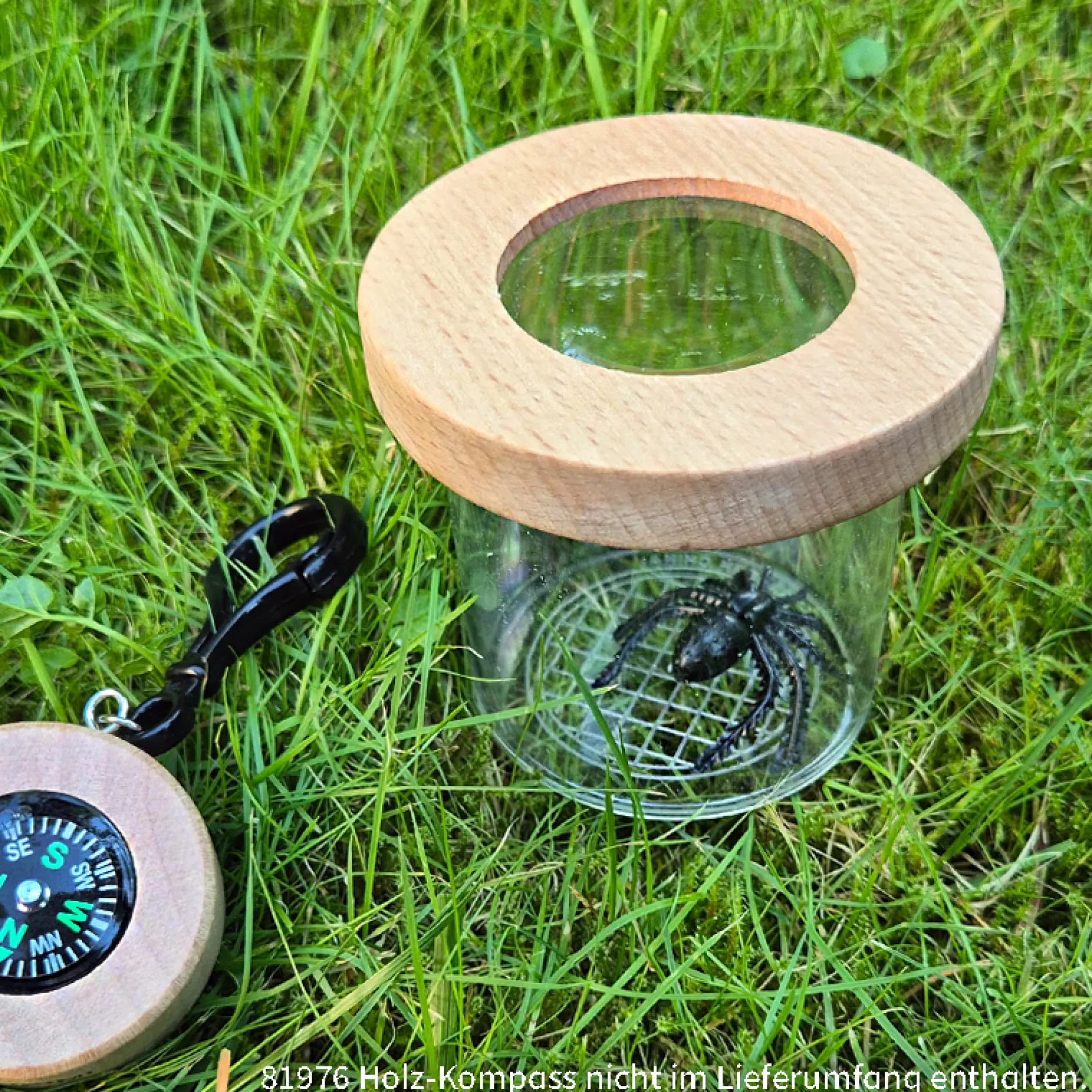 Hagemann Holz-Lupendose Natur & Digital