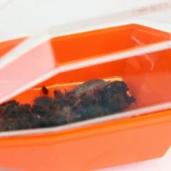 Hagemann Insektenfänger