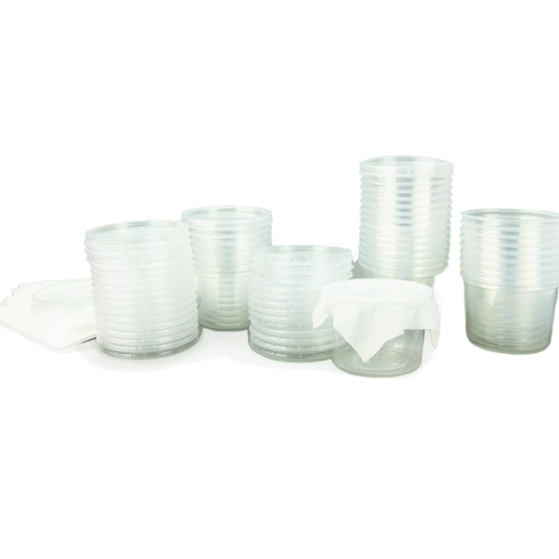 Hagemann Klassenprojektset Schmetterlinge (30-35 Raupen)