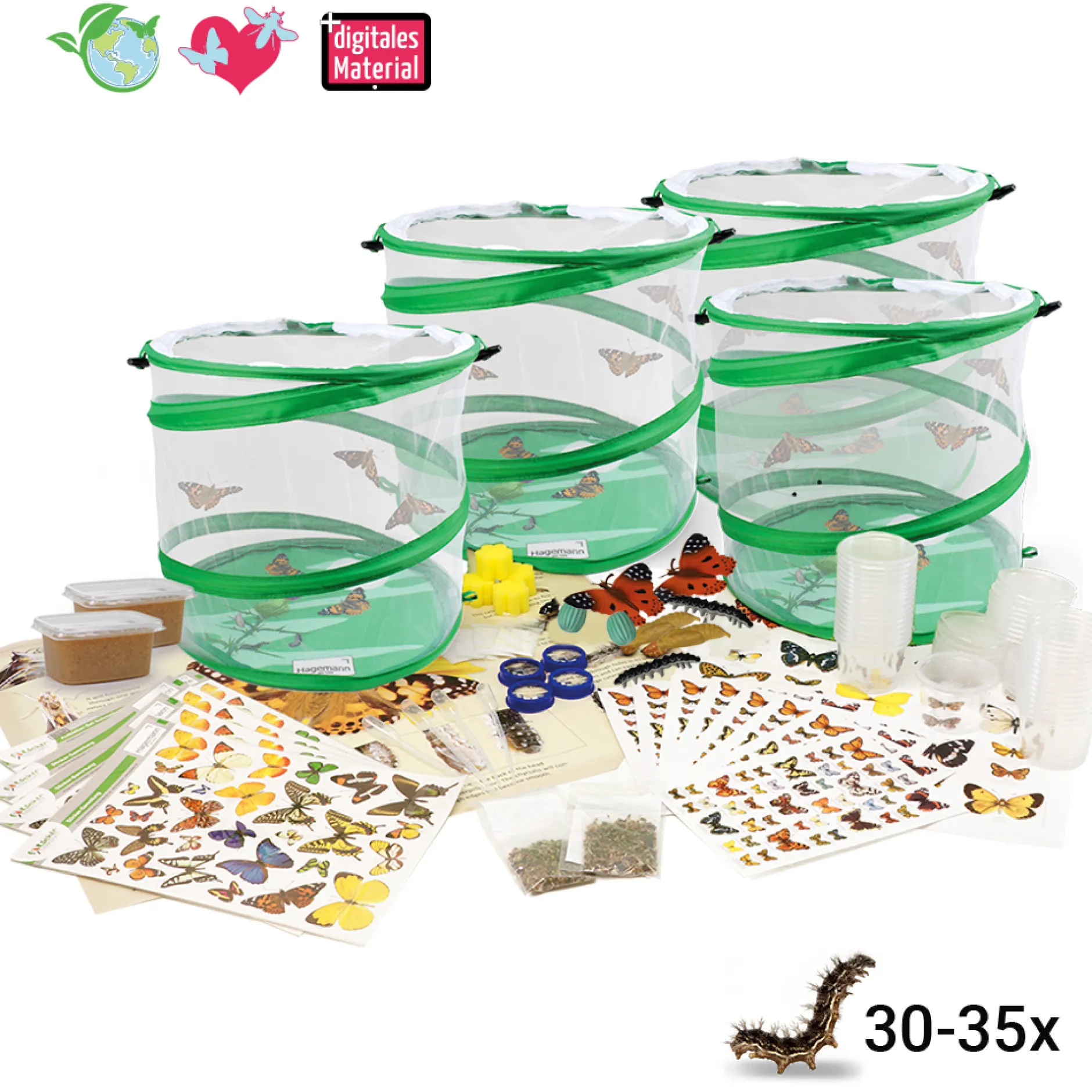 Hagemann Klassenprojektset Schmetterlinge (30-35 Raupen)