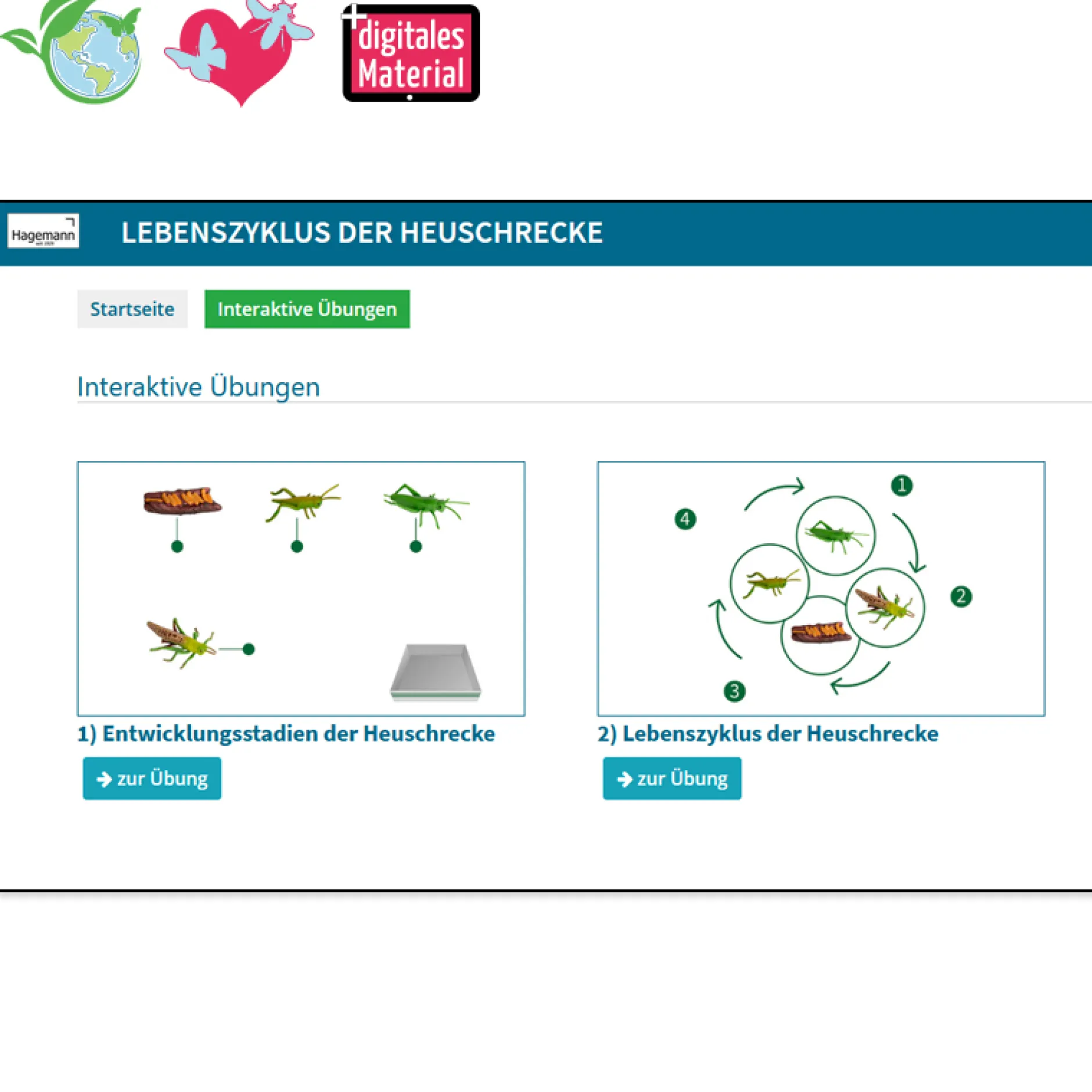 Hagemann Lebenszyklusmodell Heuschrecke (Modelle, 4-tlg.)