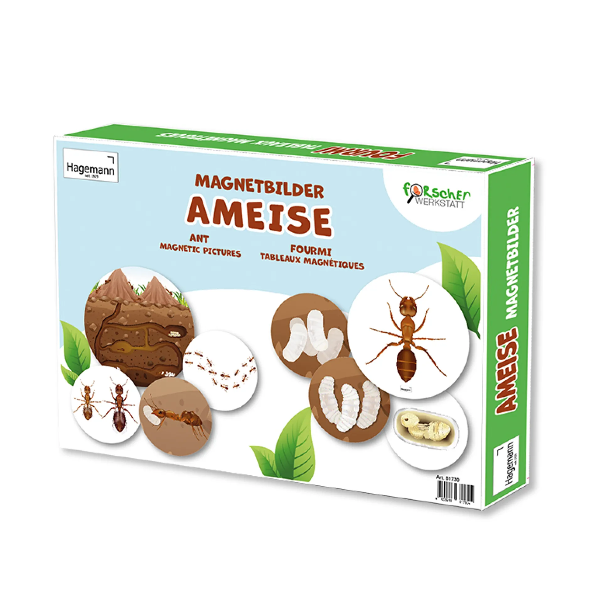 Hagemann Magnetbilder Leben und Lebenszyklus der Ameise