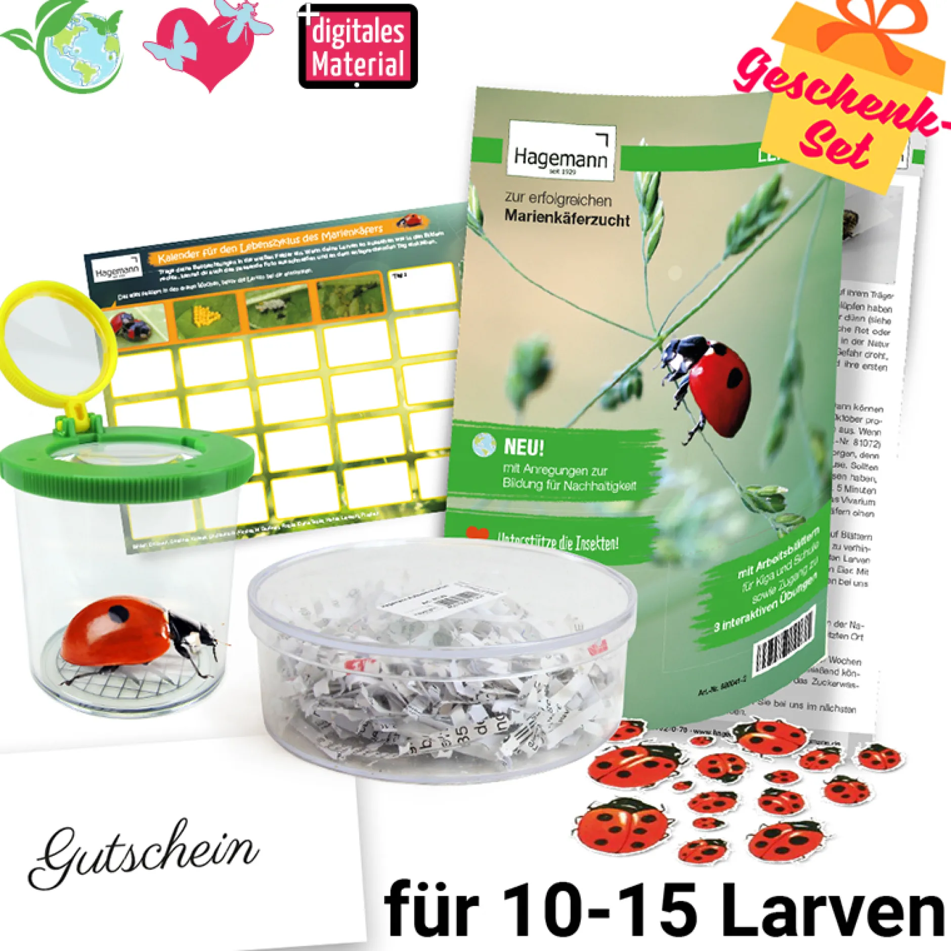 Hagemann Marienkäfer Zuchtset (mit Gutschein, 10-15 Larven)