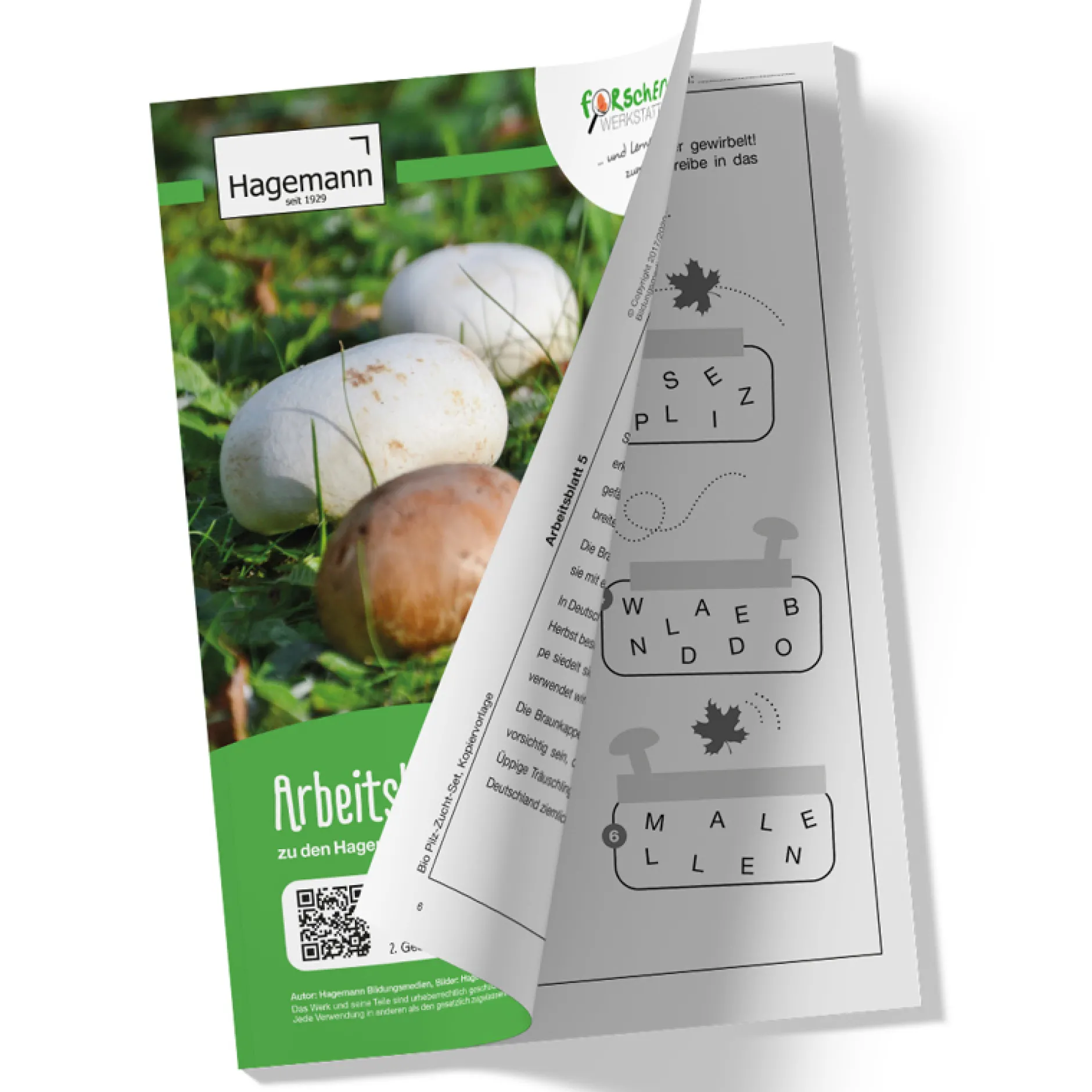 Hagemann Pilz-Zuchtset Champignon (weiß)