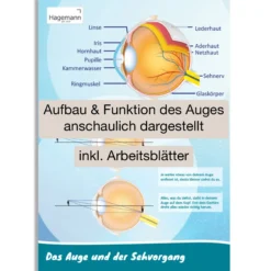 Hagemann PosterDas Auge und der Sehvorgang