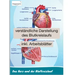 Hagemann PosterDas Herz von innen und außen