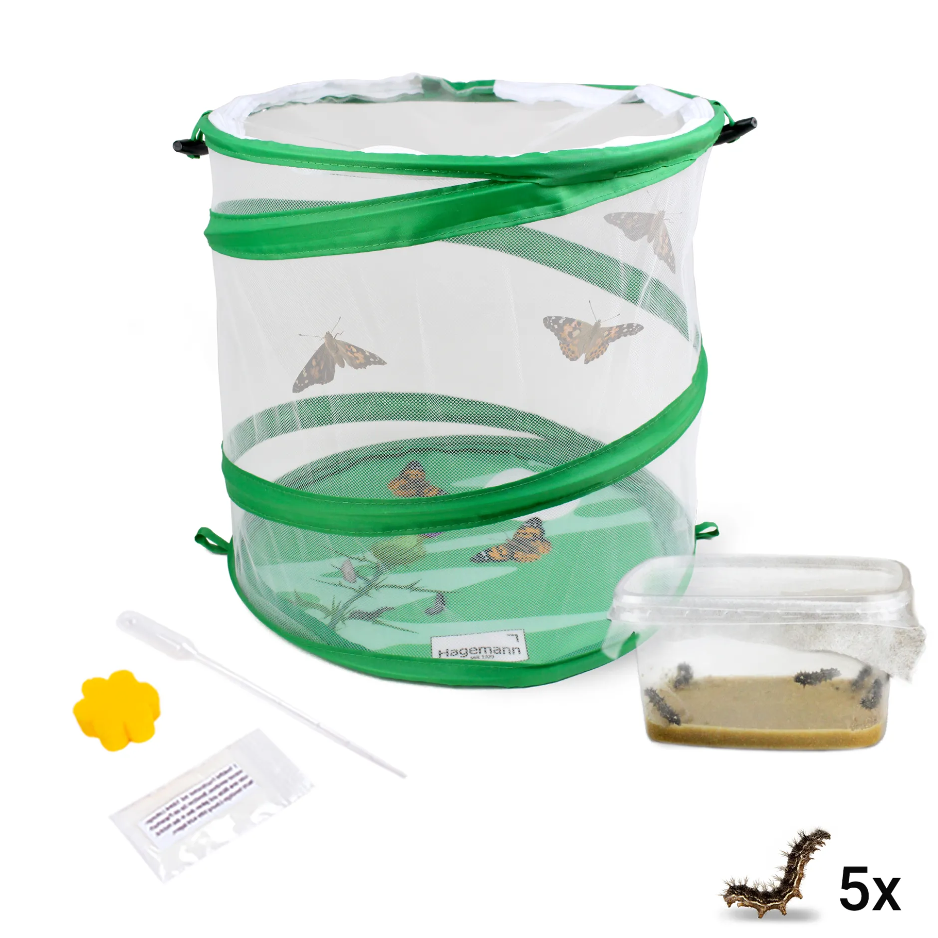 Hagemann Schmetterlings-Zuchtset, Starter (5 Raupen)