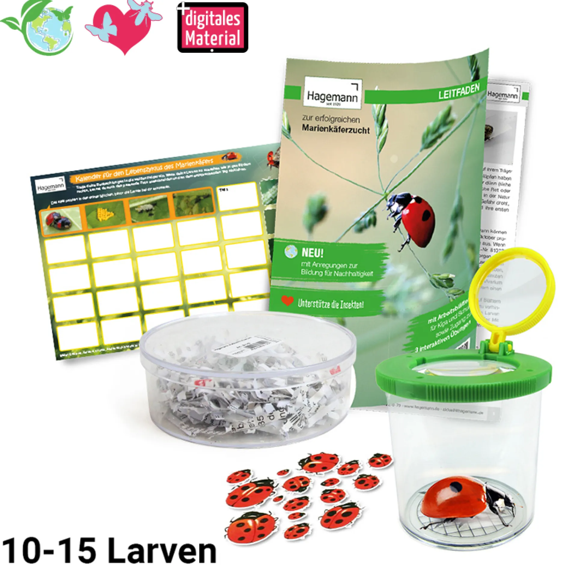 Hagemann Zuchtset Marienkäfer (10-15 Larven)
