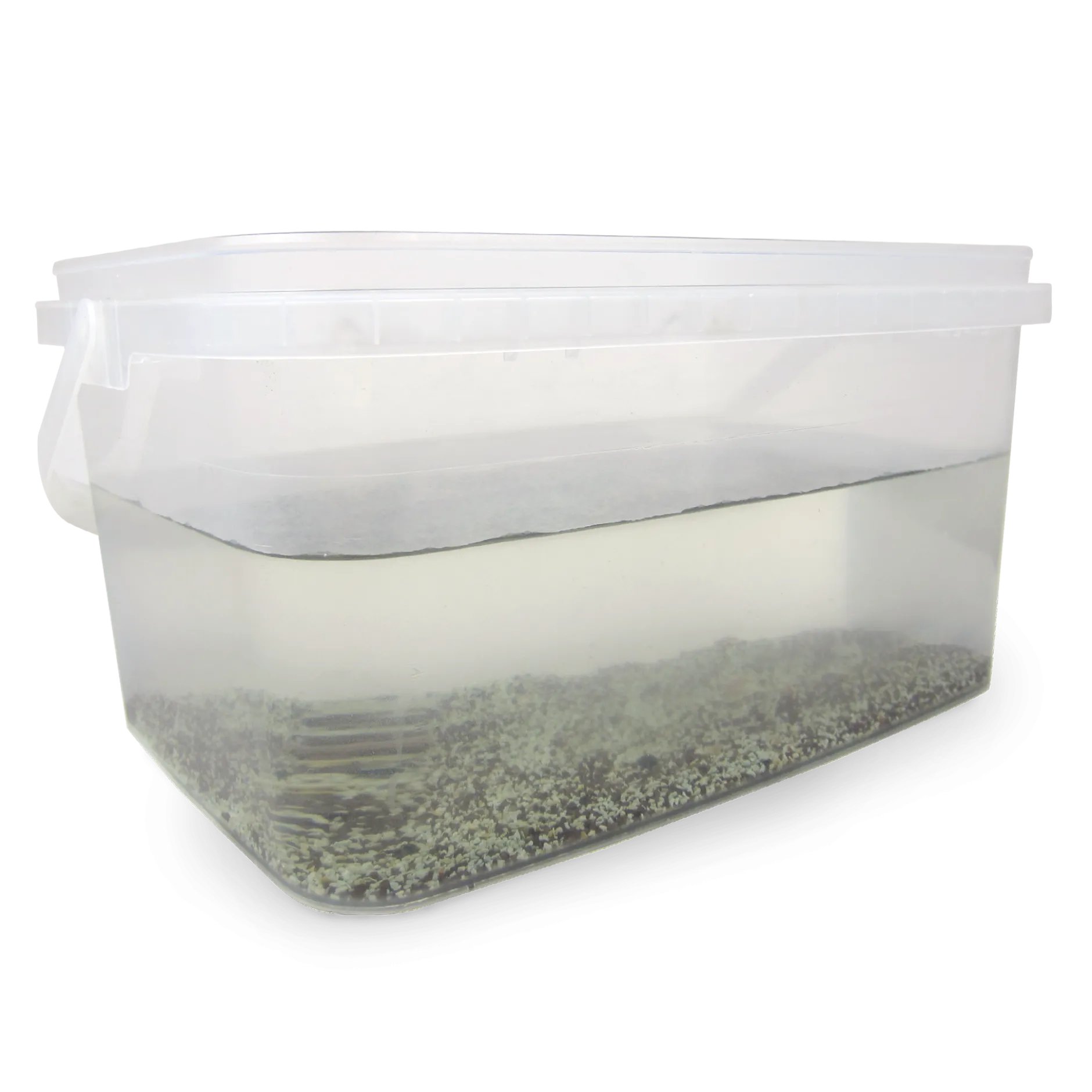 Hagemann Zuchtset Triops
