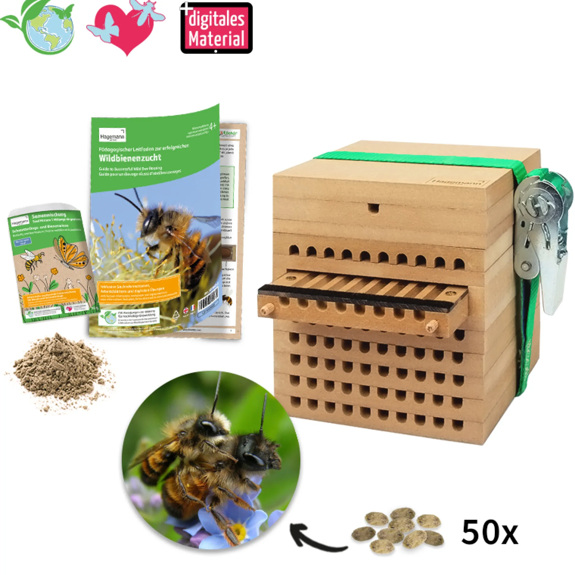 Hagemann Zuchtset Wildbienen, Gehörnte Mauerbiene (mit 50 Kokons)