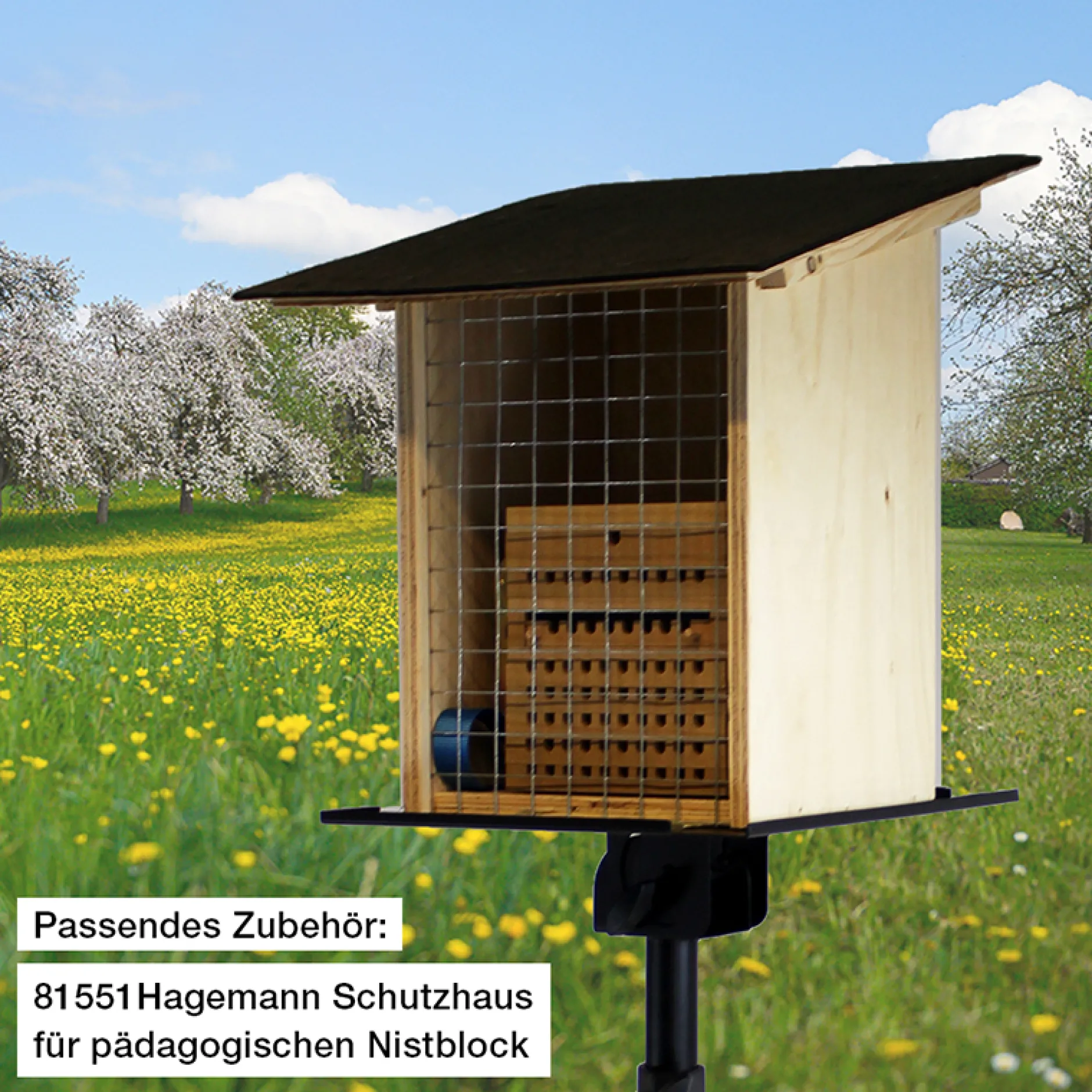Hagemann Zuchtset Wildbienen, Rote Mauerbiene (mit 50 Kokons)