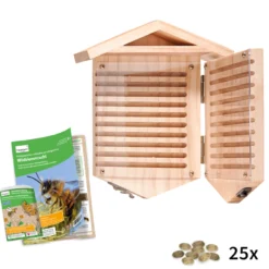 Hagemann Zuchtset Wildbienen zum Aufklappen, Rote Mauerbiene (mit 25 Kokons)