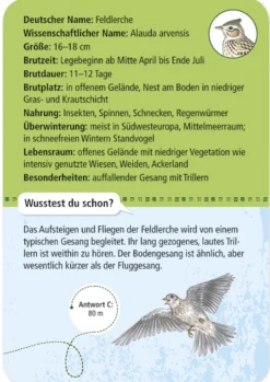 50 Heimische Vögel entdecken und bestimmen