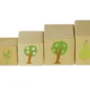 Holzwürfel "Lebenszyklus", 10 Stück